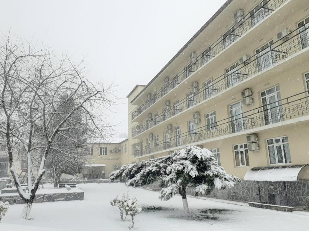 Gabala Hotel Dasca Zewnętrze zdjęcie